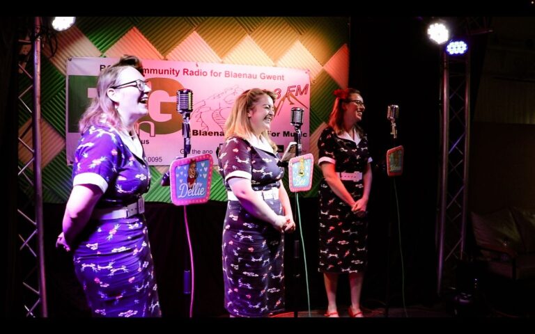 The Toodle Pips performing live