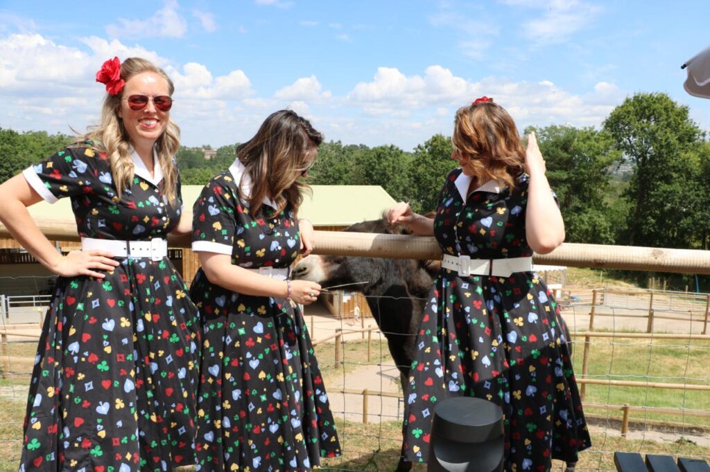 The Toodle Pips close-harmony vocal trio