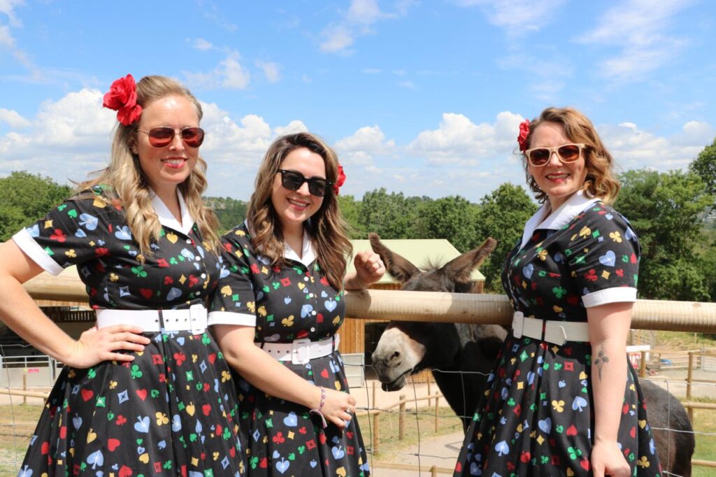 The Toodle Pips close-harmony vocal trio